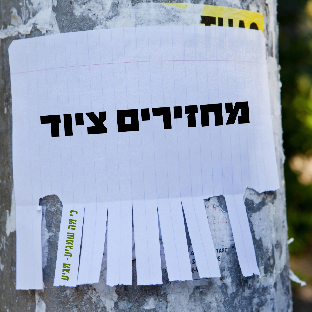 (קרדיט: אודליה מחפוד)