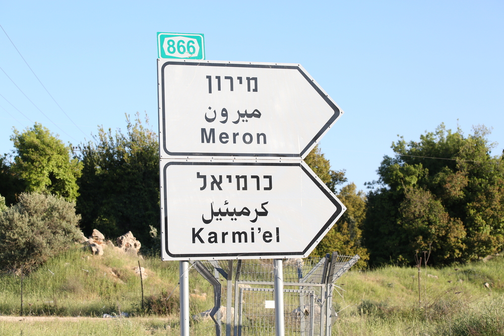 (צילום: shutterstock)