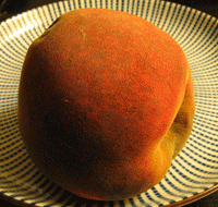 File:DecayingPeachSmall.gif