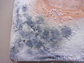 Moho del Pan 2013 002.JPG