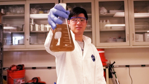 Is This The Solution To Plastic Waste Pollution?