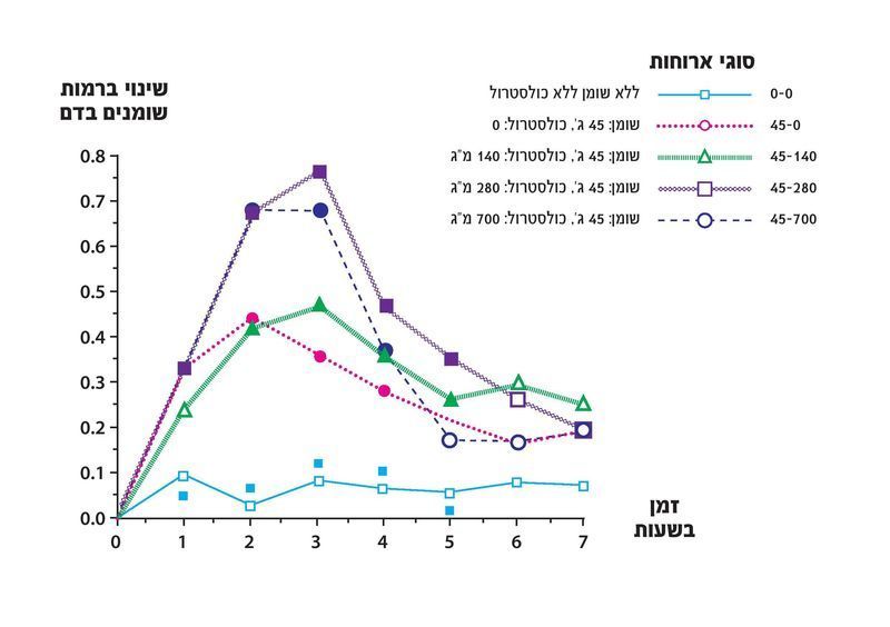 גרף שומנים בדם