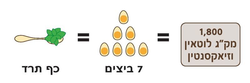 כף תרד לעומת ביצים