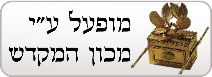 מכון המקדש