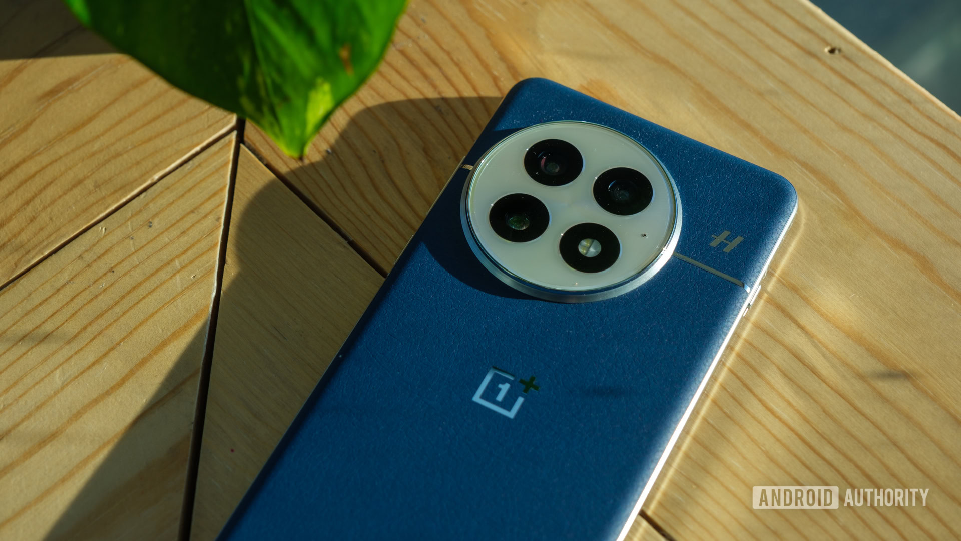 OnePlus 13 on wood OnePlus 13 on wood