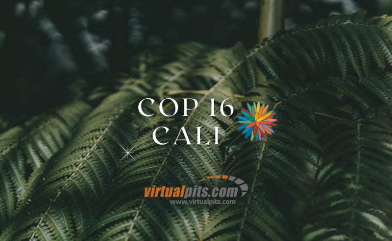 ¡Nos Unimos a la Conversación en la COP16!