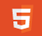 HTML5 Icon