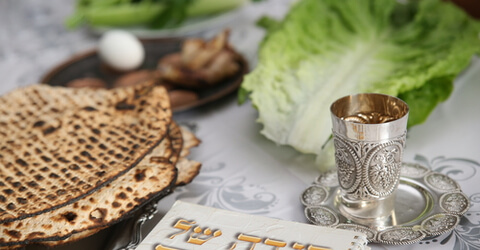 הכשרת מדיח לפסח
