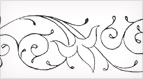A Scrolly Border