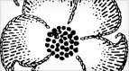 Free Embroidery Pattern: Flower