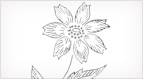 Single Flower