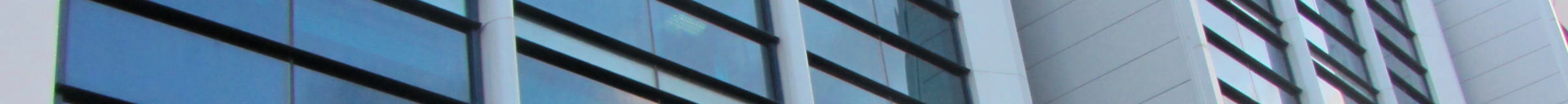 CISO-Guide-header.jpg