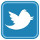 Twitter-logo-icon.jpeg