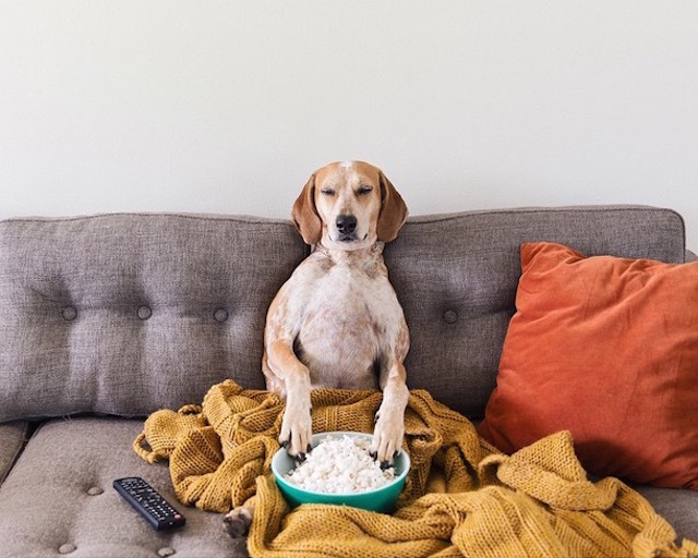מדי1