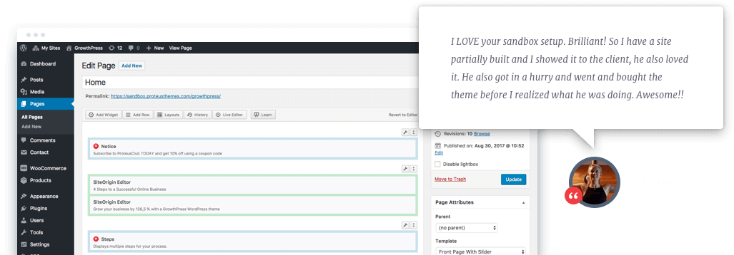 test any wordpress theme + testimoanial + wp admin