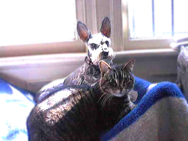 Cleo & Mumu