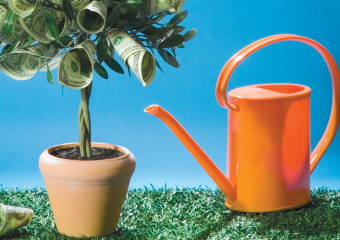 water can sitting next to a money tree