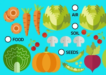 chart of vegetables
