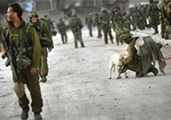 חייל מלטף כלב בזמן סיור צה ל הנכנס ללבנון