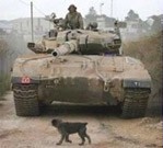 טנק מאפשר לכלב לעבור ליד מטולה