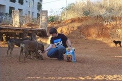 ג'ייסון בייקר מאכיל כלבים באזור לחימה בלבנון