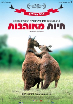 זוג קנגרואים מתנשק בטבע בקרזת הסרט חיות מאוהבות בעברית.