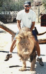 מאמן רוכב על אריה, מתוך פרסומת של חברת Hollywood Animals, המתמחה בבבימוי סצנות אלימות עם חיות גדולות. לדבריהם,...
