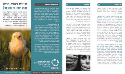 עלון חדש (צד אחד) שהפיקה אנונימוס השנה, על בסיס מכ. (עיצבה: נעמי זמיר)