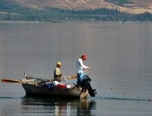 תמונה: Effib