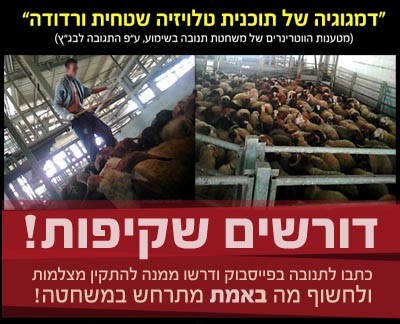 לאחר שכל בכירי אדום אדום שתועדו מתעללים ו/או מנחים להתעלל בבעלי חיים בשיטתיות נותרו בתפקידיהם, ולאחר...