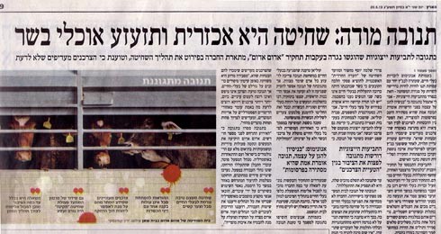 חשיפת קו ההגנה של תנובה בכתבה בהארץ: נטע אחיטוב, 20.5.13, תנובה מודה: השחיטה אכזרית, המראה יזעזע את אוכלי הבשר...