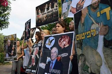 תמונה מתוך ההפגנה מול ביתו של השר שמיר, 26.6.2013