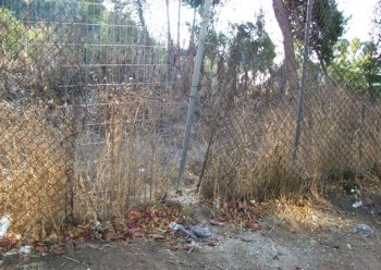 פרצה בגדר החווה החקלאית, אשר תן 
