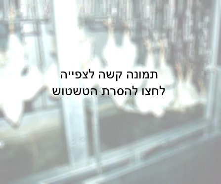 חלק מהתרנגולות מגיעות למסוע כשהן עדיין בהכרה, כאשר הן תלויות מרגליהן