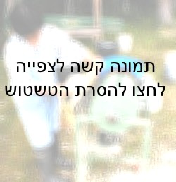 מריטת נוצות במשחטה קטנה באמצעות מכונה המשמשת לכך