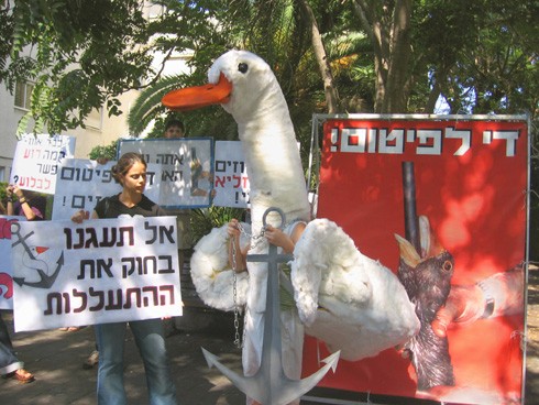 הפגנת אנונימוס נגד פיטום אווזים
