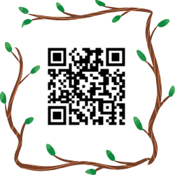 qr kódgenerátor Színes keretek