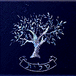 Click to see enlargement of 53-71-TKE-1 Classic Talis Bag